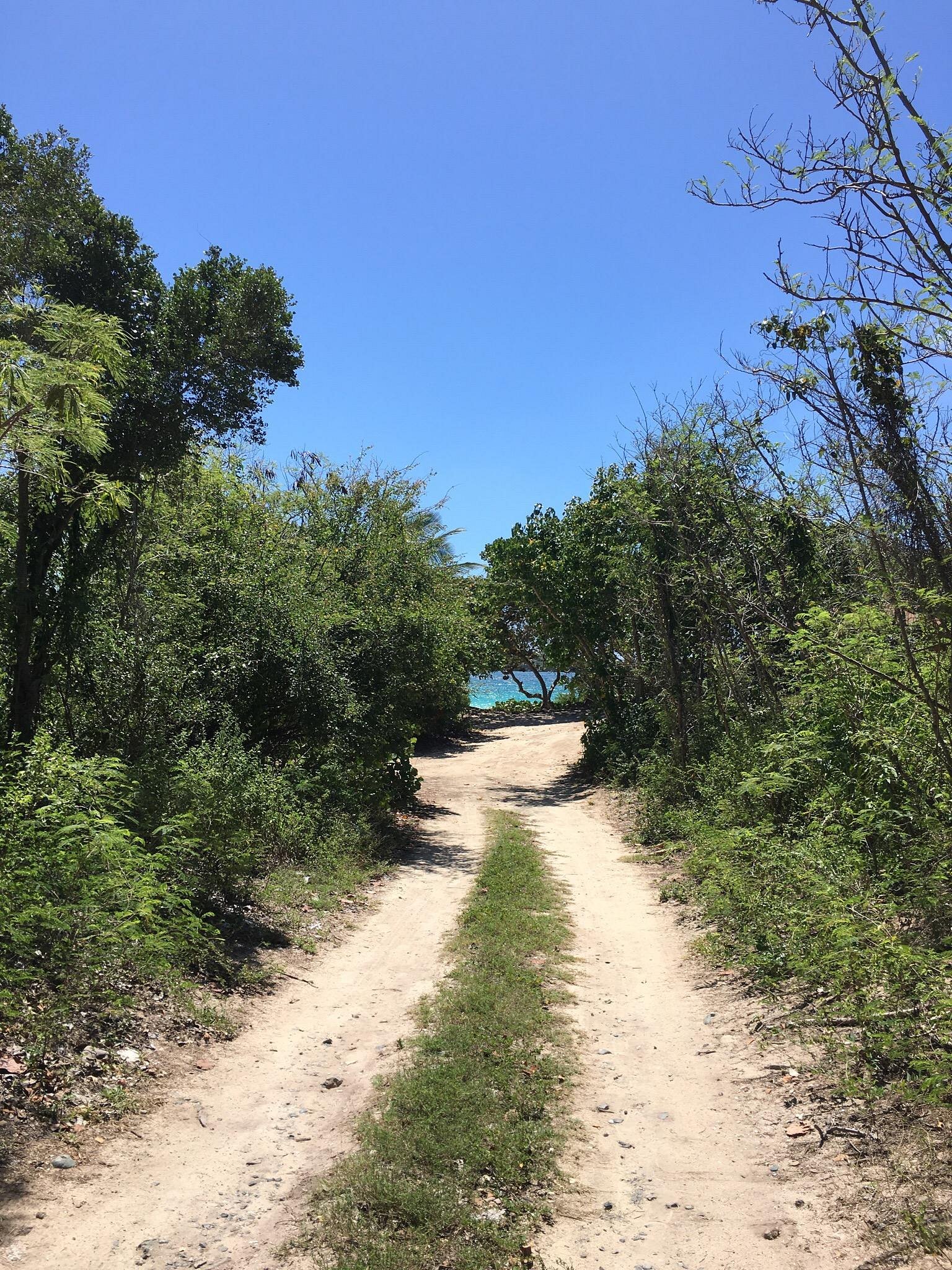 Vieques Island La Chiva Beach Puerto Rico Car Trail